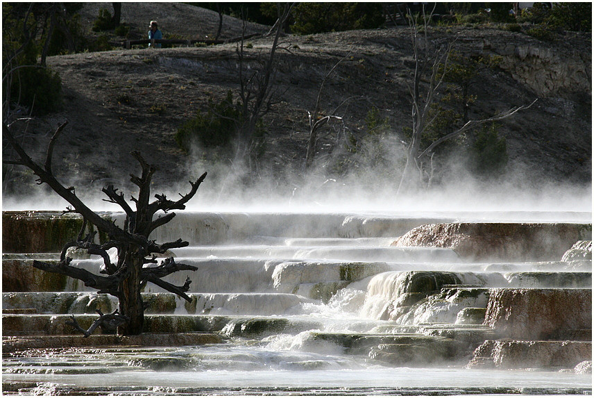 Mammoth Hot Springs 10