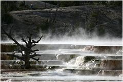 Mammoth Hot Springs 10