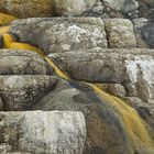 Mammoth Hot Springs 10