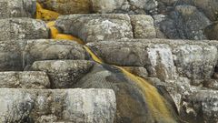 Mammoth Hot Springs 10