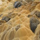 Mammoth Hot Springs 11