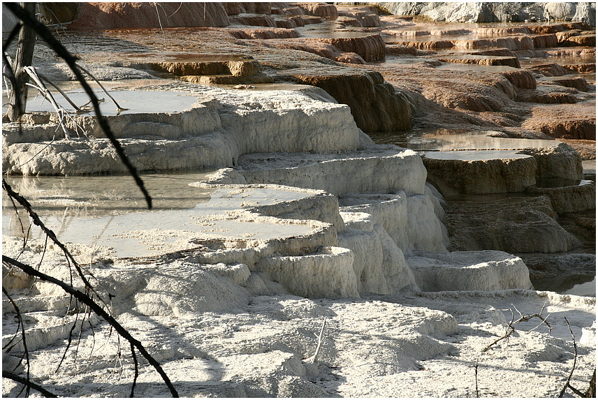 Mammoth Hot Springs 12