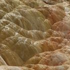 Mammoth Hot Springs 12