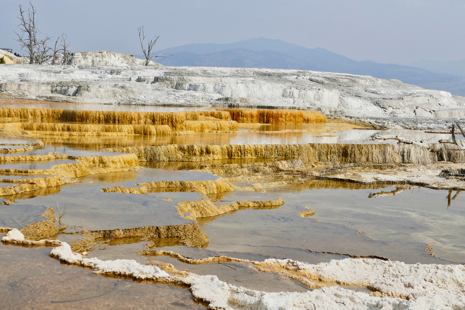 Mammoth Hot Springs