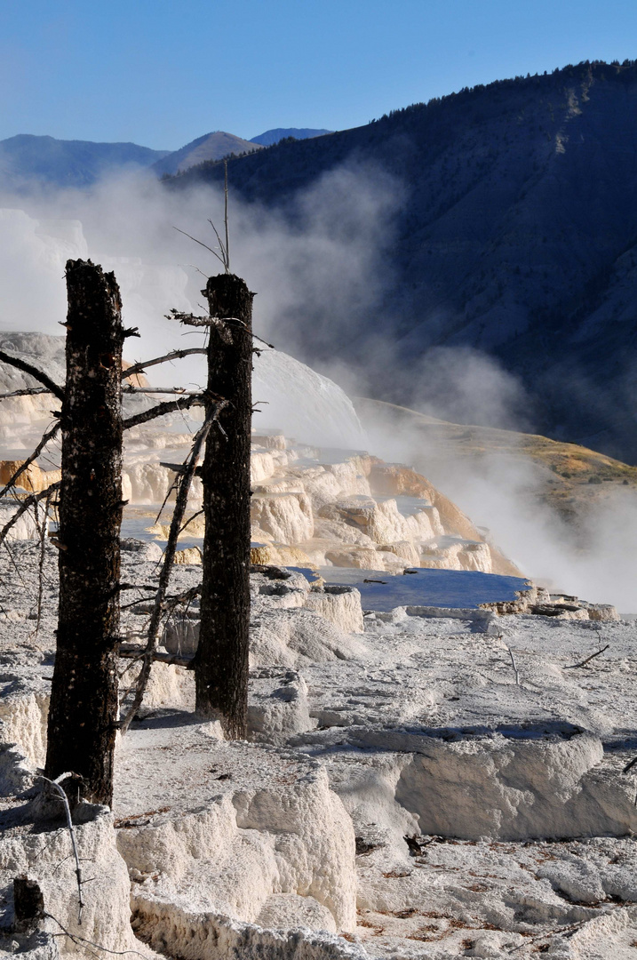 Mammoth Hot Springs