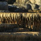 Mammoth Hot Springs 14