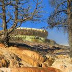 Mammoth Hot Springs 15