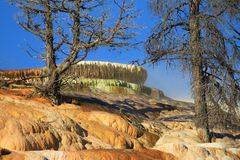 Mammoth Hot Springs 15