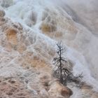 Mammoth Hot Springs