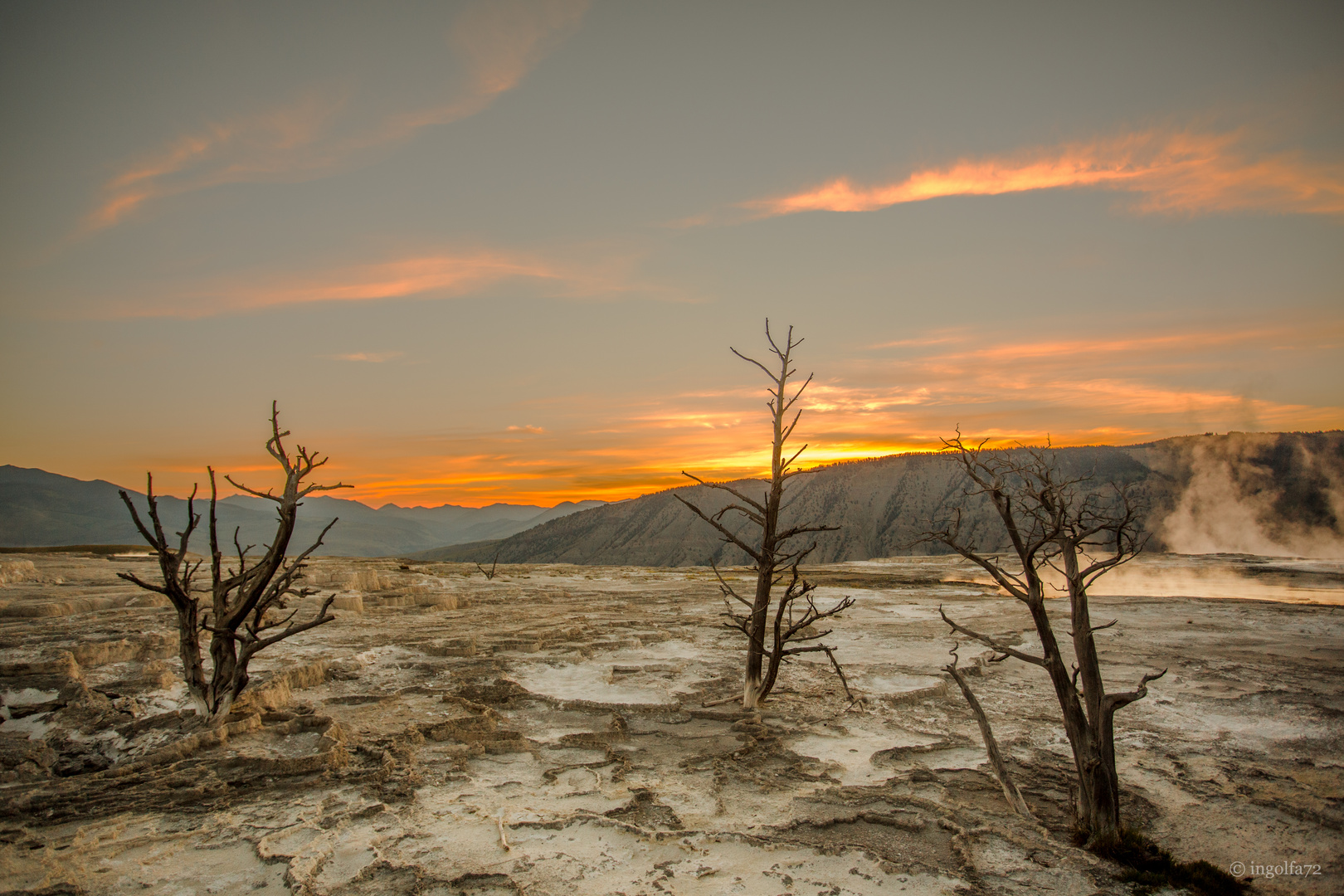 "mammoth hot springs"