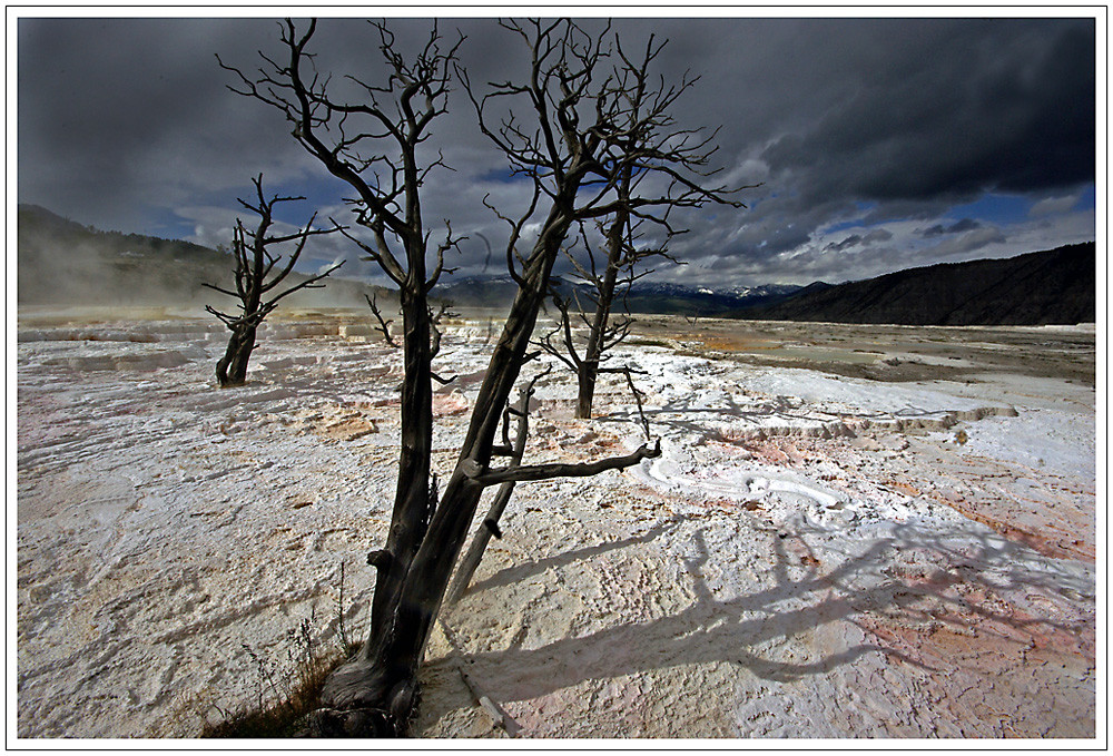 Mammoth Hot Springs