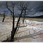 Mammoth Hot Springs