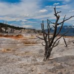 Mammoth Hot Springs (2)