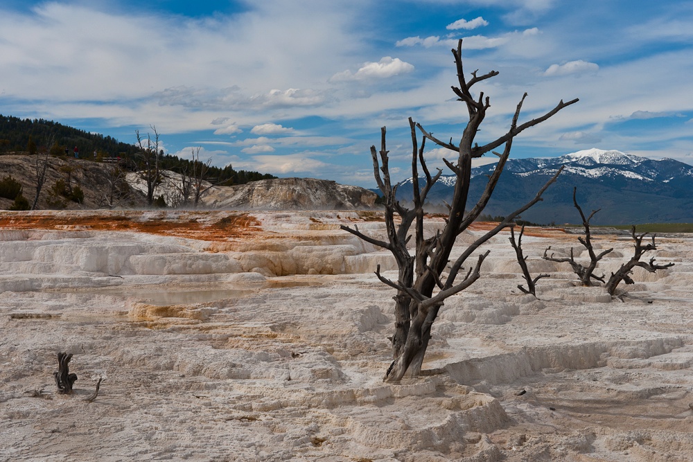 Mammoth Hot Springs (2)