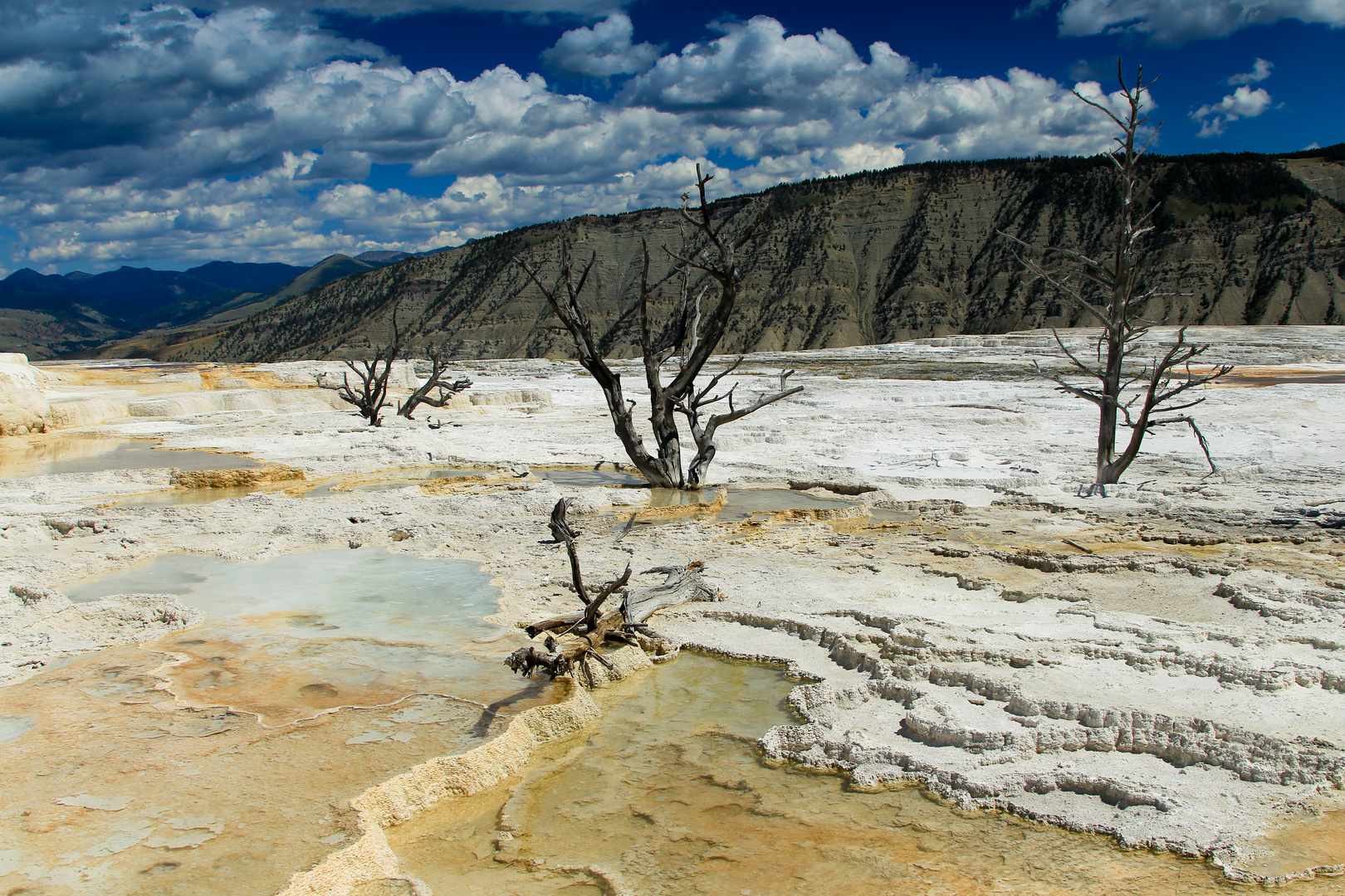 mammoth Hot Springs 2