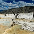 mammoth Hot Springs 2