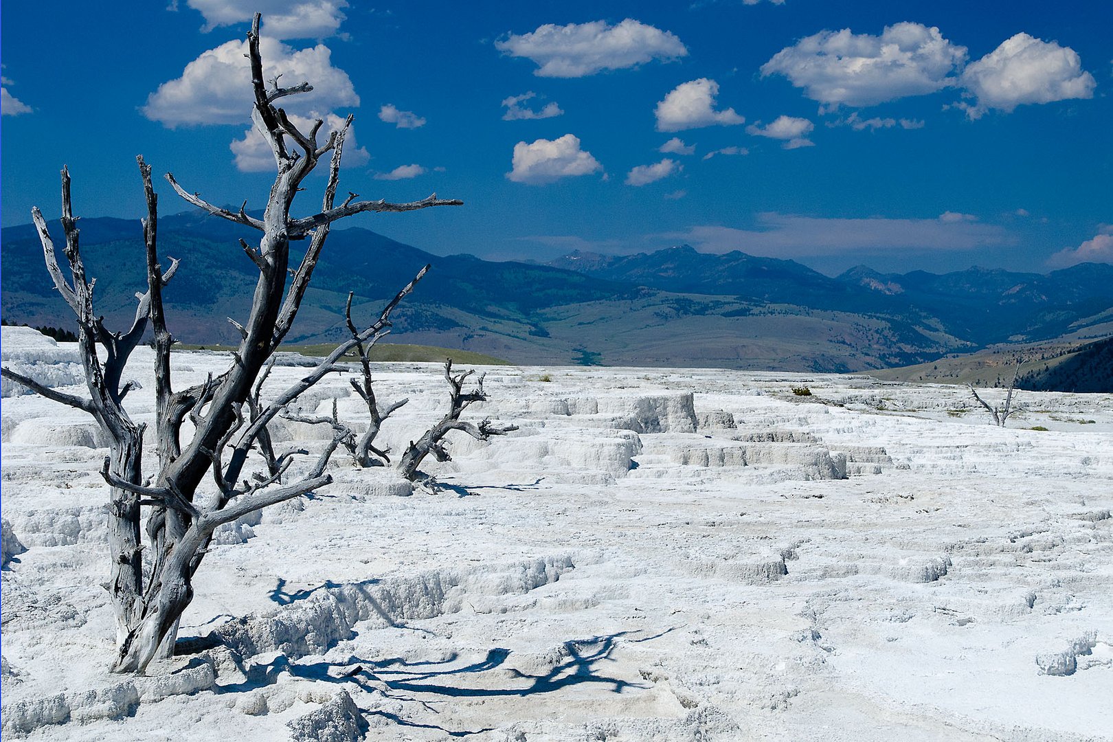 Mammoth Hot Springs (2)