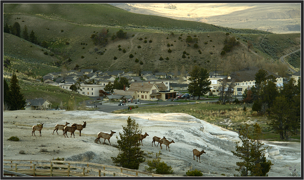 Mammoth Hot Springs 23-05-2010 19:47 hour