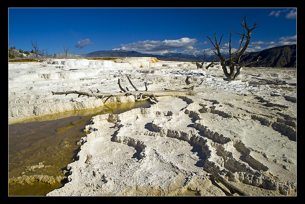 Mammoth Hot Springs