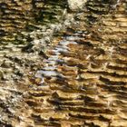 Mammoth Hot Springs