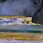 Mammoth Hot Springs