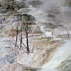 Mammoth Hot Springs