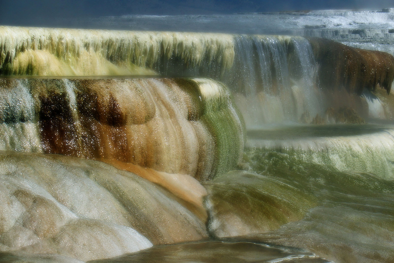 Mammoth Hot Springs