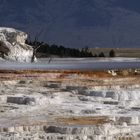 Mammoth Hot Springs