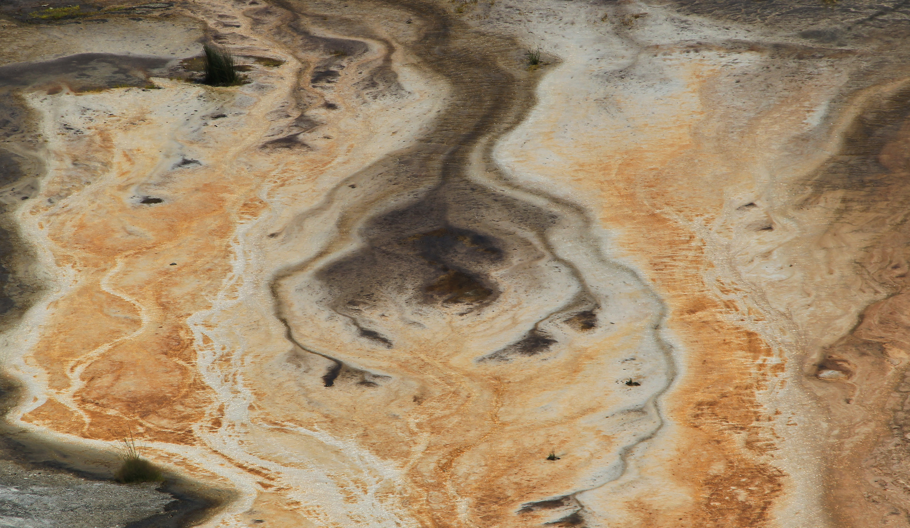 Mammoth Hot Springs 4