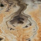 Mammoth Hot Springs 4