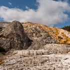 Mammoth Hot Springs (4)