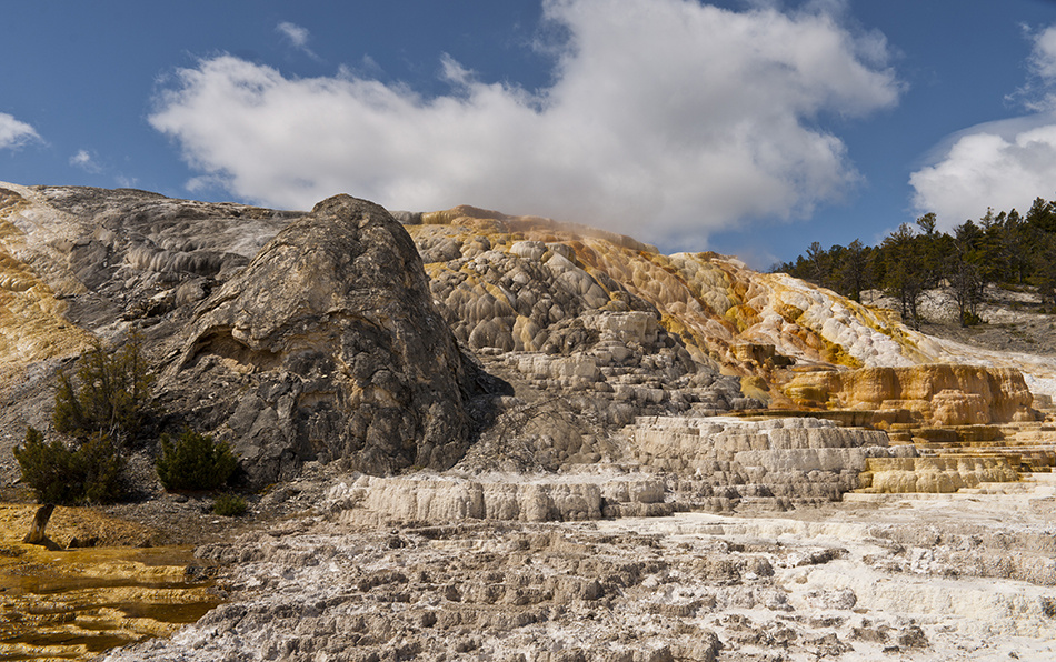 Mammoth Hot Springs (4)