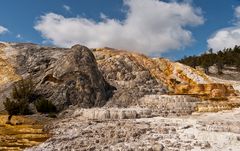 Mammoth Hot Springs (4)