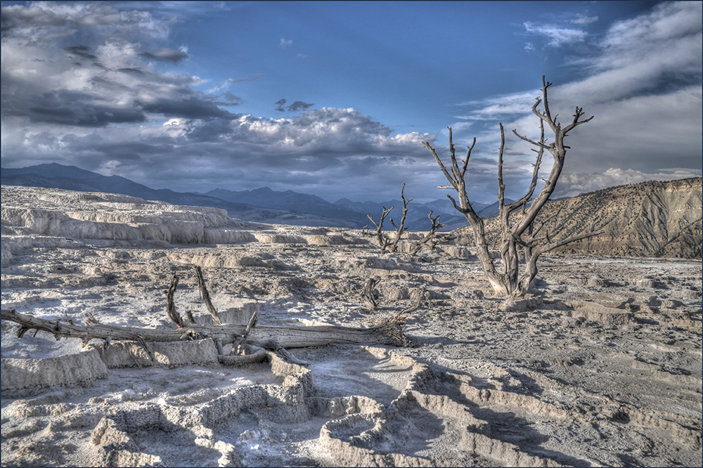 Mammoth Hot Springs