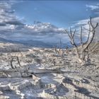 Mammoth Hot Springs