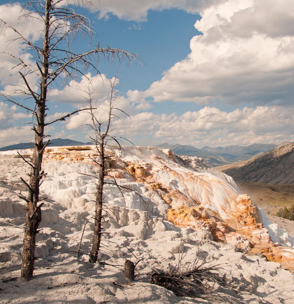 Mammoth Hot Springs