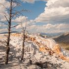 Mammoth Hot Springs