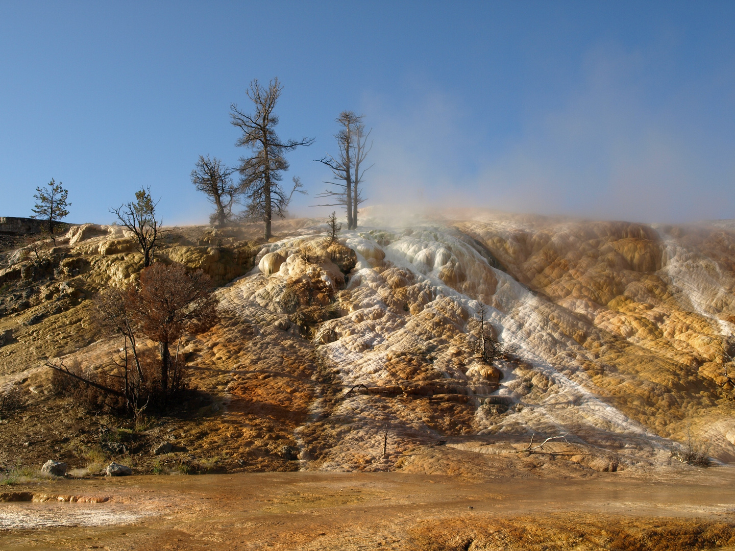 Mammoth Hot Springs