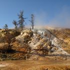 Mammoth Hot Springs