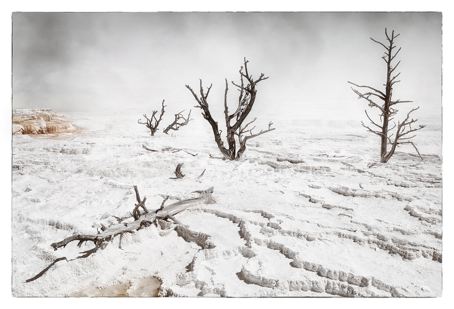 Mammoth Hot Springs