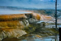 Mammoth Hot Springs.