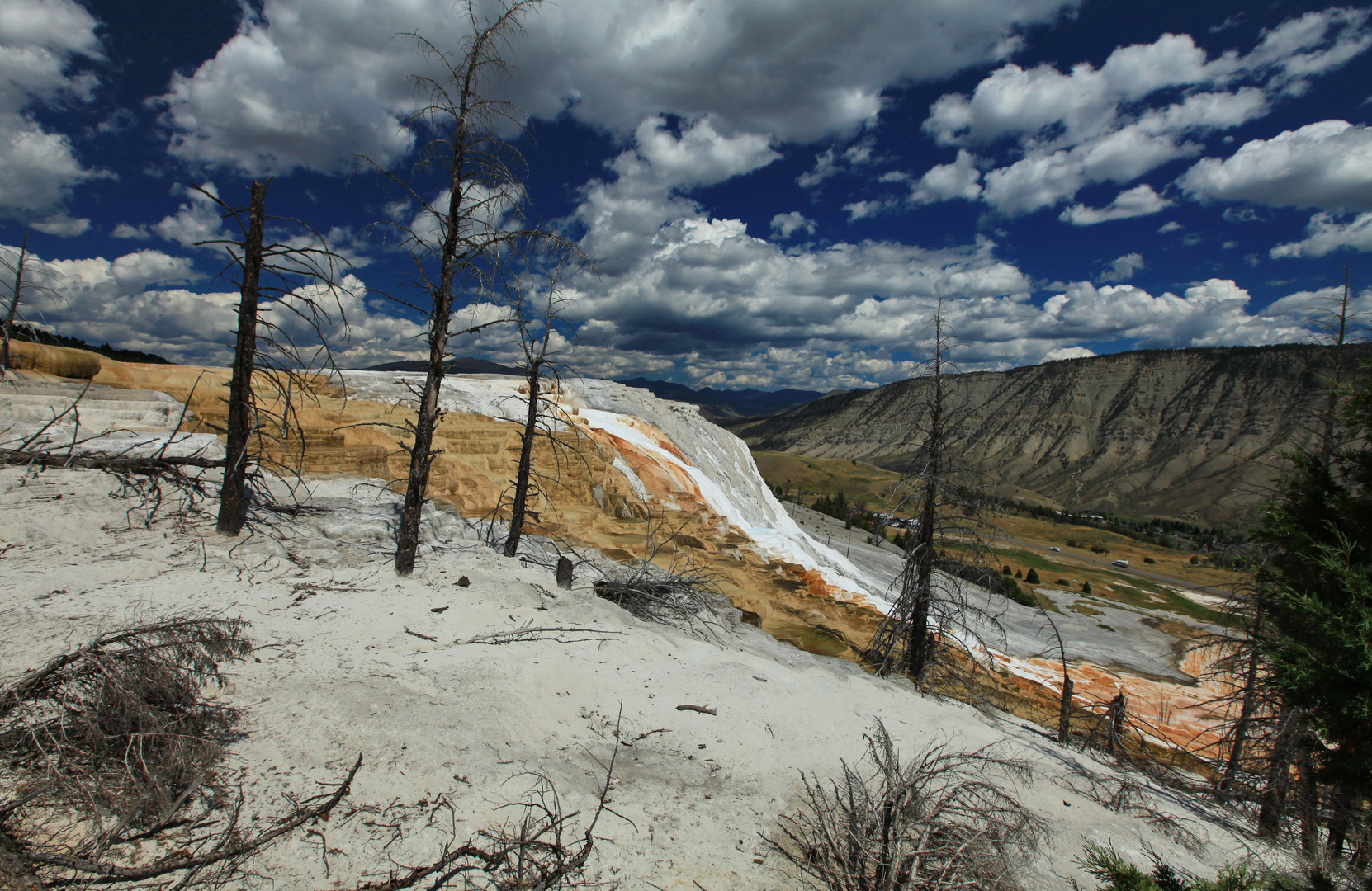 Mammoth Hot Springs 6