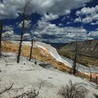 Mammoth Hot Springs 6