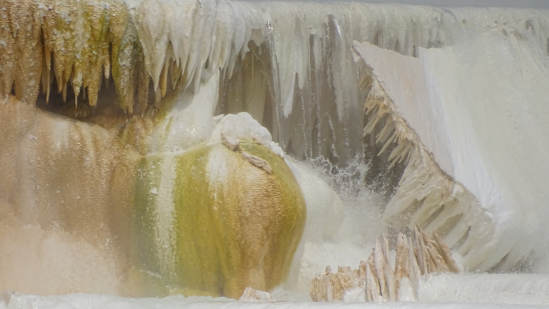 mammoth hot springs