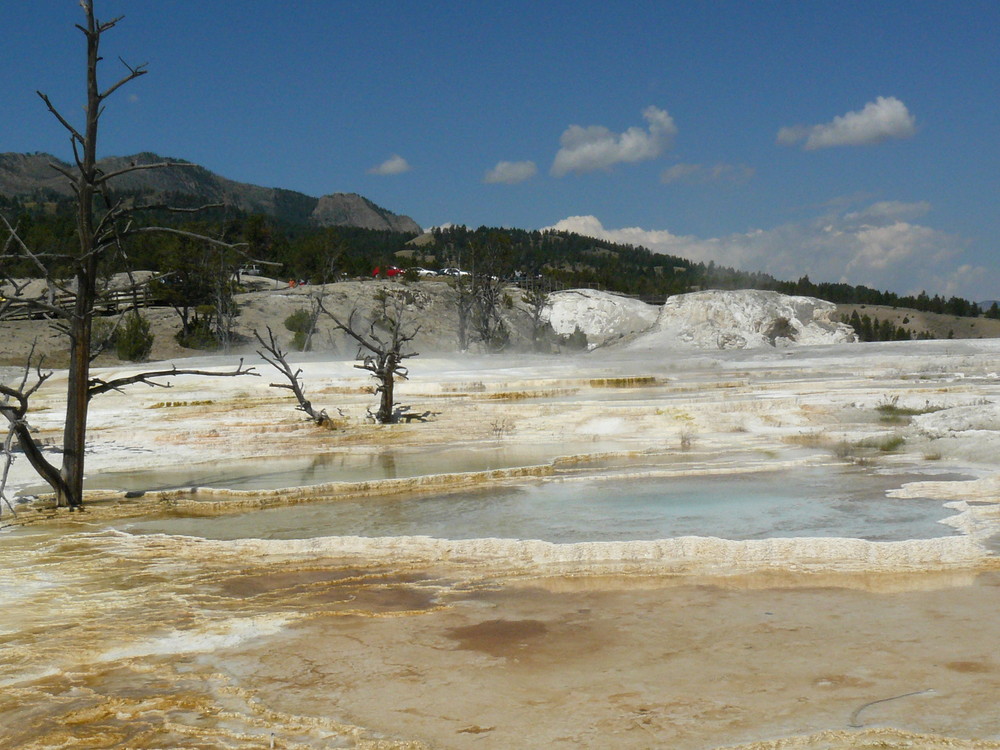 Mammoth Hot Springs