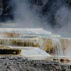 Mammoth Hot Springs