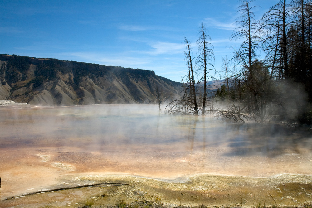 Mammoth Hot Springs