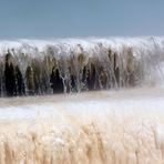 Mammoth Hot Springs