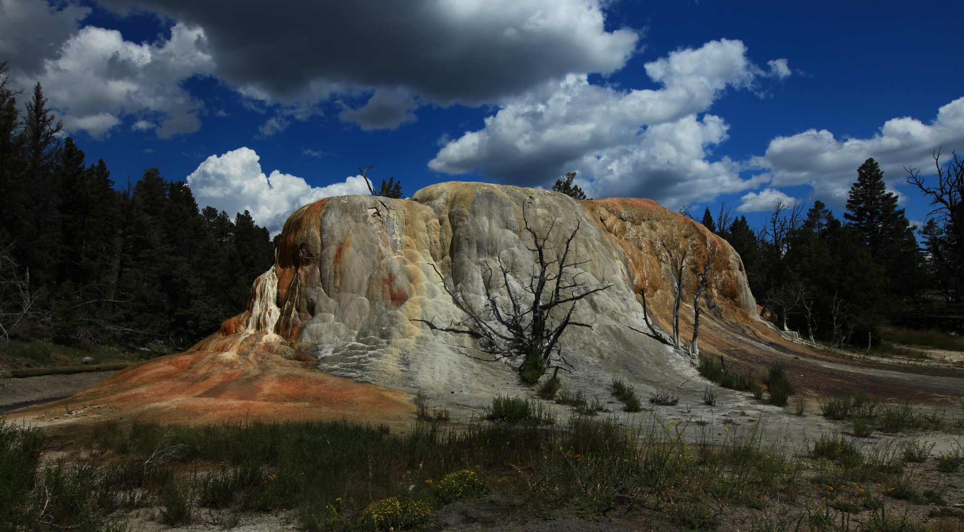 Mammoth Hot Springs 8