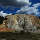 Mammoth Hot Springs 8